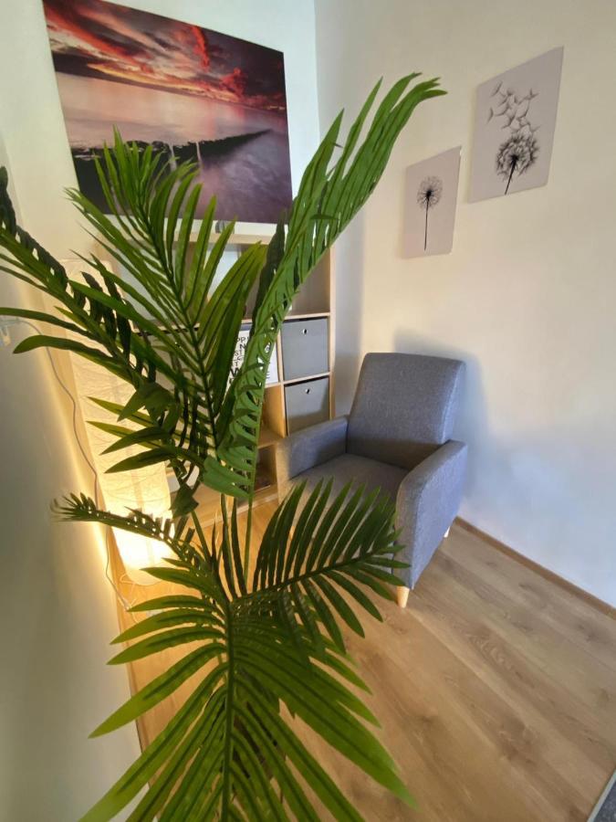 Apartment Dora ซาดาร์ ภายนอก รูปภาพ