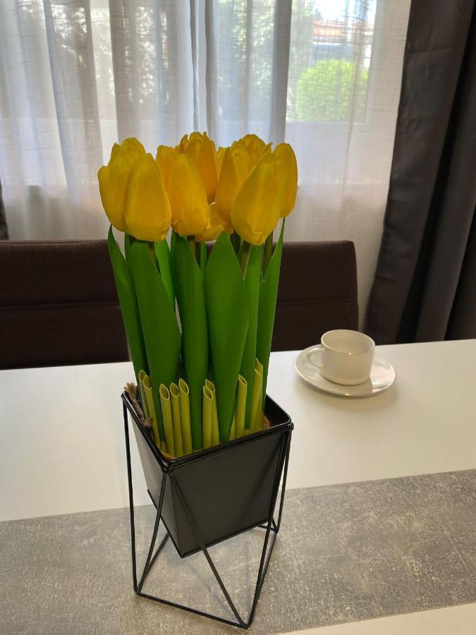 Apartment Dora ซาดาร์ ภายนอก รูปภาพ