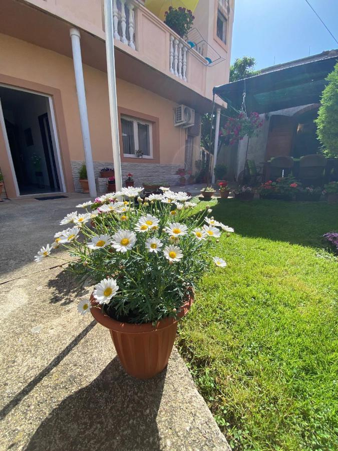 Apartment Dora ซาดาร์ ภายนอก รูปภาพ